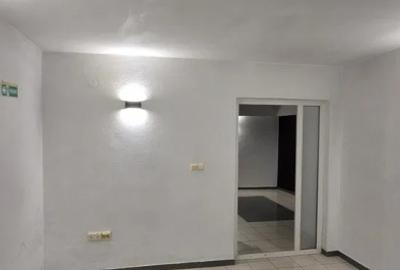 Vilă birouri | Plantelor | Unirii | 16 Camere | Centrală nouă | Curte - 13