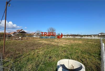 Teren Construcții intravilan de 1067 mp, în Partoș