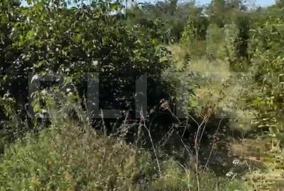 Teren Construcții intravilan de 1539 mp, în Valea Voievozilor