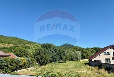 Teren Construcții intravilan de 3154 mp, în Bârsana