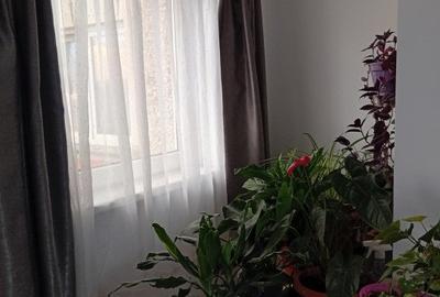 Apartament 2 camere + 1 uscatorie de 14 mp bonus, DRagos Voda, Str Barierei - 3