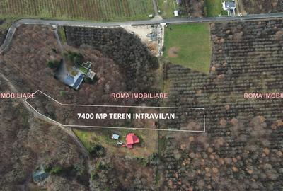 TEREN INTRAVILAN – TĂUȚII-MĂGHERĂUȘ  Lângă Cabana Apa Sărată - 10