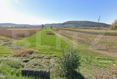 Teren agricol extravilan de 5900 mp, în Exterior Sud