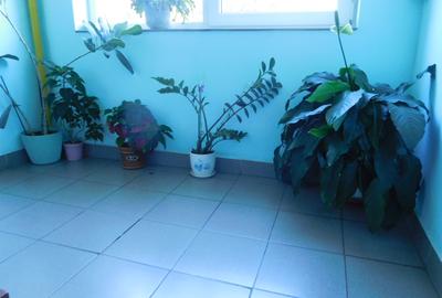 Chirie apartament 3 camere, zona linistita - 10