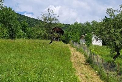 Prahova-Cosmina de Sus, Teren cu casa p+1 - 3