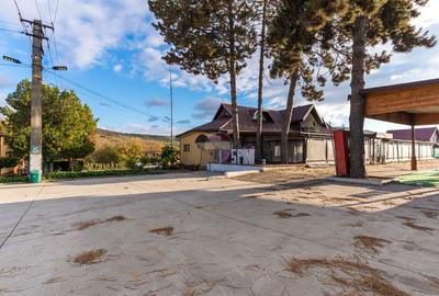 Proprietate Privata | Oltenesti Vaslui | Business la Cheie - 2