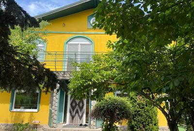 Vila 8 Camere Snagov I (INCHIRIERE 2000 EURO) - 1