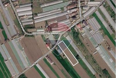 Teren Construcții intravilan de 5000 mp, în Câmpurelu