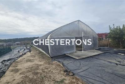 Teren 1500mp cu sera functionala langa Padurea Ciorogarla - 2