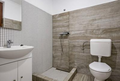 Casă spațioasă în Dumbrăvița | 260 mp utili | Teren 930 mp - 18