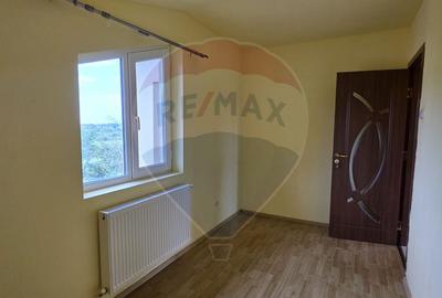 Casa P+M de vanzare in Valea Voievozilor Aleea Manastirii - 9