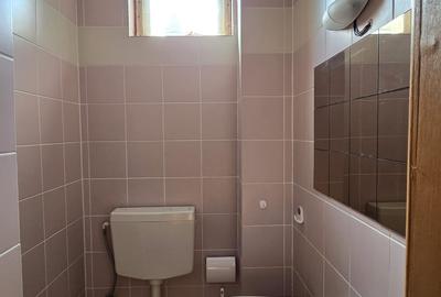 Vanzare vila P+1+M cu 5 camere, casa batraneasca , 2 garaje, teren 9249mp, - 15