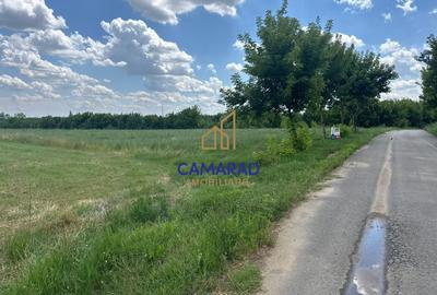 Teren 4694 mp Buftea | Potențial de extindere | intravilan - Parcul dintre Flori - 8