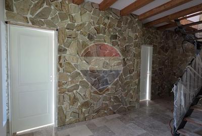 Domeniu Rezidential in Gura Vaii | Conac Mediteranean | 3400 mp - 5