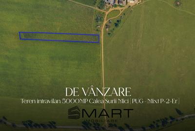 Teren de 5200 mp, în Turnișor