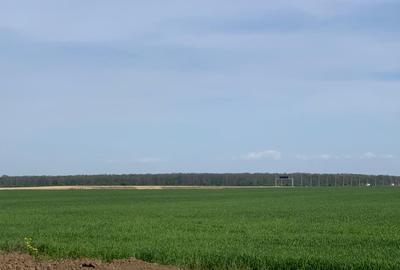 Centura Pantelimon  Vanzare  Teren  extravilan 3ha - 5000mp - 8