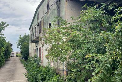 Complex industrial/Ferma de vânzare | Orțișoara, jud. Timiș - 6