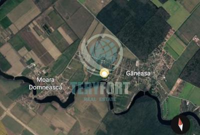 Teren Intravilan Lot de Casă  cu vedere lac 1.000 m.p Găneasa Ilfov - 14