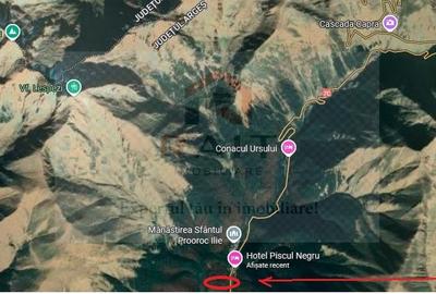 Teren extravilan tip pădure de vânzare 500 mp Arefu Transfăgărășan - 9