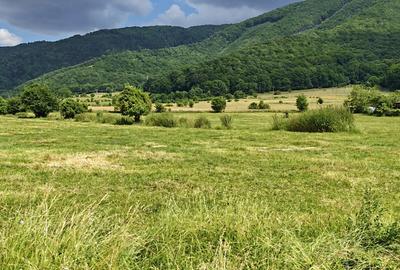 Teren intravilan - padure de agrement - in Brasov. - 5