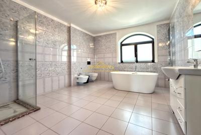 Vilă Sisesti Vatra Nouă, 10 camere - 8