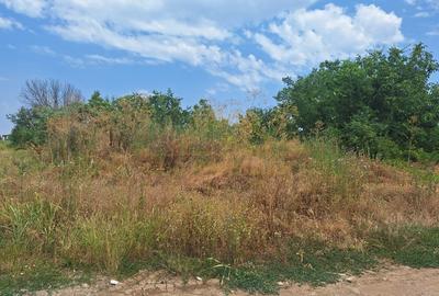 TEREN INTRAVILAN 1500 MP-STRADAL-MIRASLAU-ECHINOCTIULUI - 9