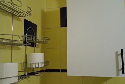 Piata Muncii-Alba iulia  Garsoniera 40 mp,mobilata modern,utilata,bloc mixt 350€ - 12