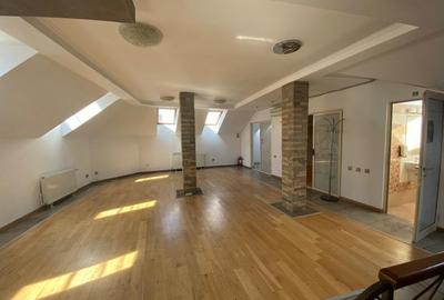 Investitie! Spatiu pentru birou, local, ultracentral, Piata Muzeului! - 18