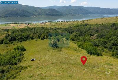 🌳 Oportunitate de Investiție: Teren Extravilan Generos langa Dunare - 1
