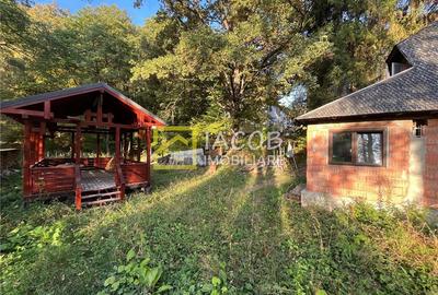Casa cu teren, str. Slatinei, Luncani - Margineni - Bacau - 4