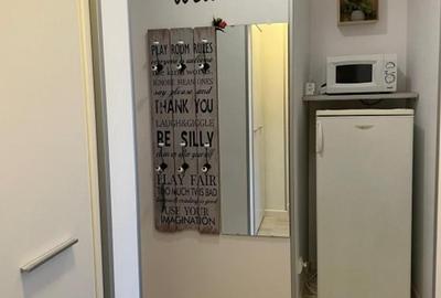 Bd. Banu Manta nr 18 aproape de Piata Victoriei, metrou, parc Kiseleff - 10