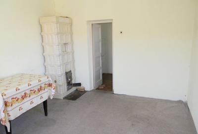 Proprietate cu 2 hale si casa la inchiriat,teren 1350mp - 15