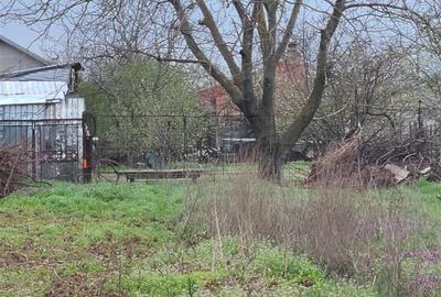 Domnesti, teren intravilan - 2