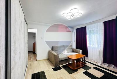 Apartament Renovat si Mobilat, Etaj 2/4, Str. Argeselu - De Inchiriat - 3