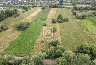Teren agricol extravilan de 3600 mp, în Mălini