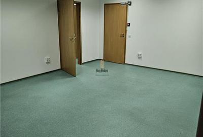 Spatii Birouri - 500 mp - Sos Sibiului - 11