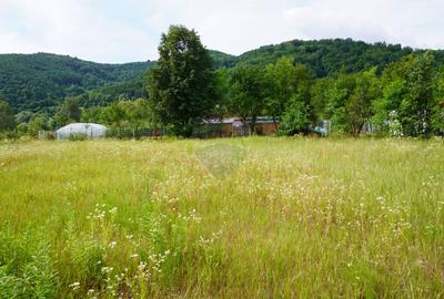 Teren 2785 mp, Central – Lângă Grădina Morii - 13