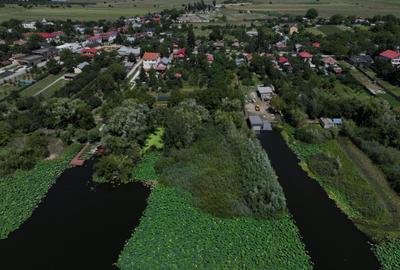 Teren premium cu deschidere la lacul Snagov-Tancabesti - 4