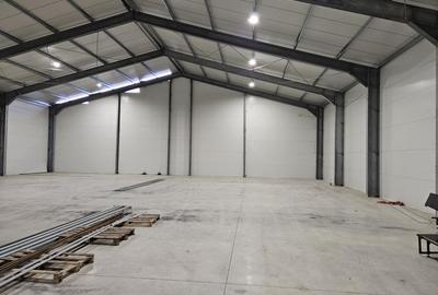 Zona Est - Drumul Intre Tarlale - Cernica - Pallady - Autostrada A2 investitie - 2