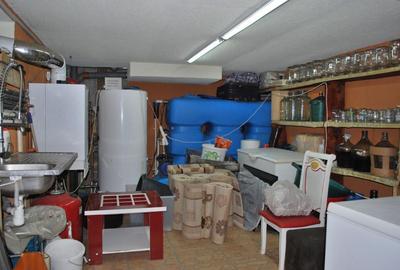 Vila P+2 - 580 MP - 11 camere - Matei Voievod - Iancului - 19