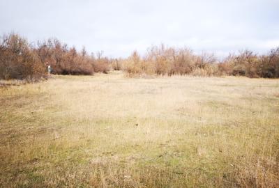 Vând teren agricol  2 ha cu deschidere la Dunăre - 8