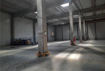 Spatiu Industrial - 4000 mp - Logistica - Productie - Depozitare - Distributie - 18