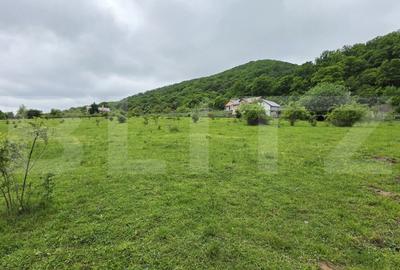 Teren Construcții intravilan de 1450 mp, în Sud