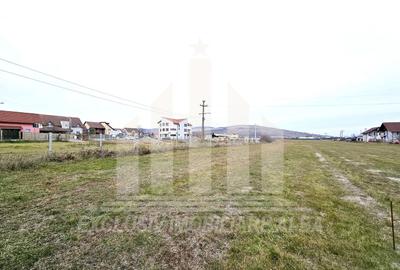 Teren intravilan | 3000 mp | 12 ml deschidere | Barabant - 1