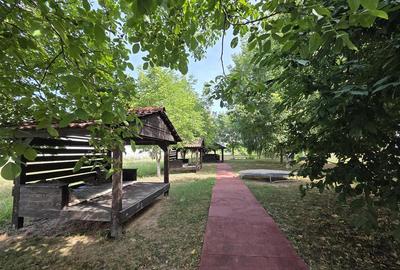 Pensiune turistica P+1E+M in Baile 1 Mai, Zona Baile Felix, Bihor - 13