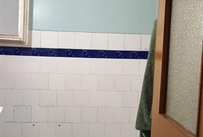 Apartament 3 camere Scriitorilor,parter,117500 Euro - 7