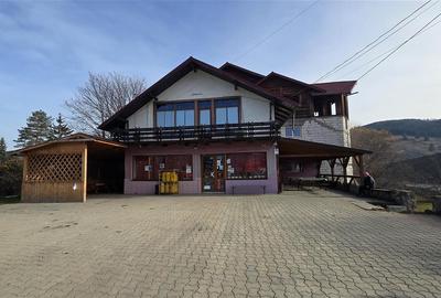 Spatiu Comercial cu terase si Hale de Vanzare in Frasin Suceava 0727817187 - 1