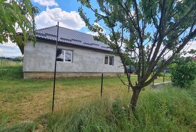 CASA DE VANZARE PODUL OLTULUI CU ACCES PRIVAT - 5