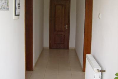 Spatiu comercial(birouri,depozit,locuinta,garaj,2 curti) - 3