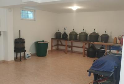 Vand casa cu 5 camere in Platoul Cornesti - 10